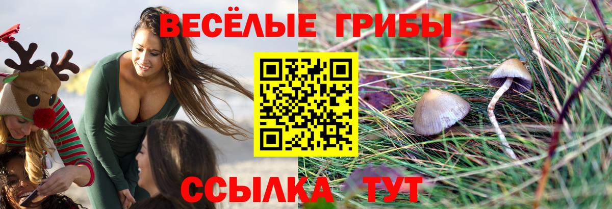 Галлюциногенные грибы Magic Shrooms  Вход с VPN  Воткинск 