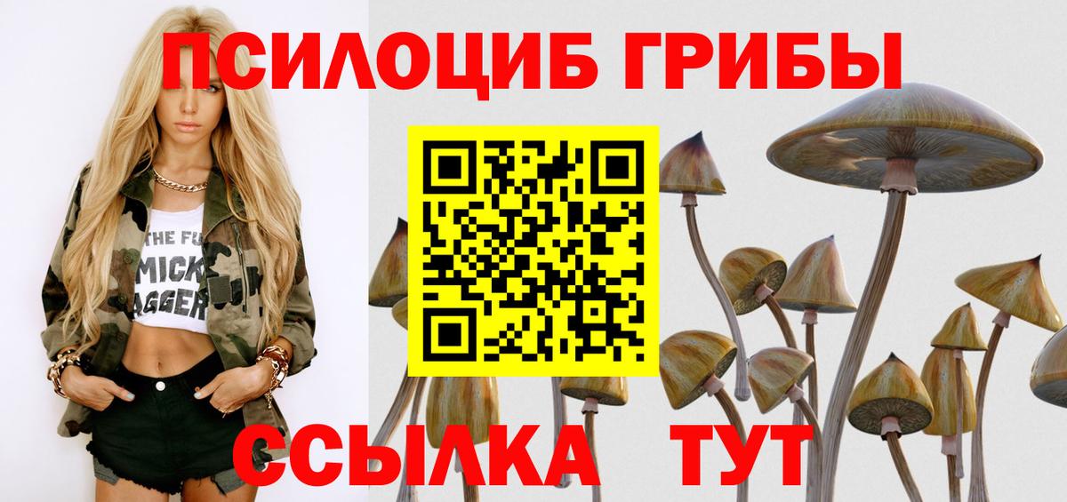 Псилоцибиновые грибы Psilocybine cubensis Воткинск